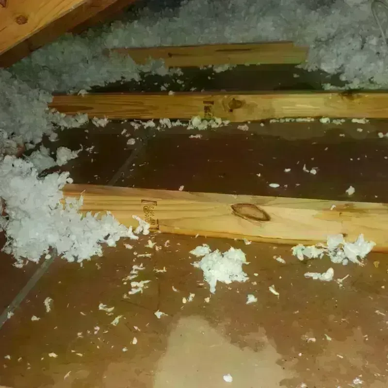 Attic Water Damage in Quebradillas, PR